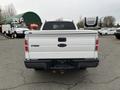 A white 2010 Ford F-150 viewed from the rear with an open tailgate and a storage box mounted in the bed