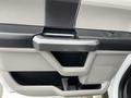 Interior door handle and storage area of a 2016 Ford F-150 with a two-tone color scheme and textured finishes