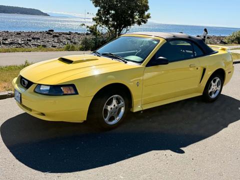 A bright yellow 2003 Ford Mustang convertible with a black soft top parked on the road showcasing its sporty design and features