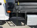 A 2021 Ford F-550 with a flatbed cargo area and a side step ladder attached for access to the bed