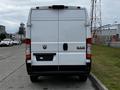 A white 2021 RAM Promaster van viewed from the rear with a black license plate area and the RAM logo on the back doors