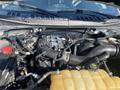 2017 Ford F-150 engine compartment showcasing the engine with various hoses and components visible