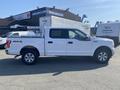 A white 2017 Ford F-150 pickup truck with a crew cab and four-wheel drive displayed from the side