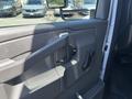 The interior door handle of a 2020 Chevrolet Express with a gray panel and a black grip