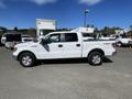 A white 2012 Ford F-150 truck is parked, showing its side profile with four doors and silver wheels