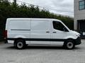 A 2020 Mercedes-Benz Sprinter van in white with a gray stripe visible from the side angle featuring a spacious cargo area and distinct Mercedes-Benz front design