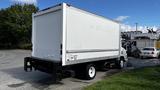 A white 2016 Isuzu NPR box truck with a plain rear panel and black chassis parked with its back facing the viewer