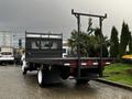 A 2006 Hino 155 truck with a flatbed and stake sides parked in a lot showcasing its rear view and a palm tree in the cargo area