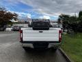 A white 2020 Ford F-250 Super Duty truck viewed from the rear with a black bed liner and a protective mesh grille cover