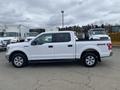 A white 2019 Ford F-150 with a crew cab and a 4x4 badge parked on a lot