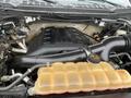 Close-up of a 2016 Ford F-150 engine showing the black engine cover and a transparent coolant reservoir in the foreground