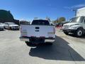 A white 2012 Ford F-150 pickup truck viewed from the rear with a chrome bumper and tailgate featuring the Ford logo