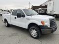 A 2010 Ford F-150 pickup truck in white with a black grille and single cab design featuring rugged tires and a slightly worn appearance