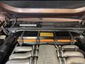 Close-up of the engine compartment of a 1983 Porsche 928 showcasing the engine with visible intake manifold and various mechanical components
