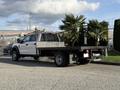 A 2019 Ford F-550 flatbed truck carrying two potted palm trees on its rear flatbed with a metal mesh barrier