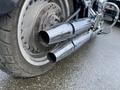 Close-up of a 2008 Harley-Davidson FLSTFI motorcycle showcasing its black dual exhaust pipes and rear wheel