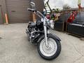 2008 Harley-Davidson FLSTFI motorcycle featuring chrome accents large front wheel and a classic cruiser design