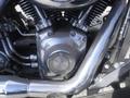 Close-up of a chrome engine of a 2009 Harley-Davidson FLSTC showcasing the V-twin configuration and intricate detailing of the metal parts