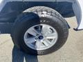 The close-up of a 2019 Ford F-150 tire showcasing a silver wheel with a blue Ford logo and a rugged tire tread pattern