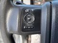 Close-up of a steering wheel control panel featuring buttons for cruise control, setup, information, reset, and volume adjustment on a textured black surface
