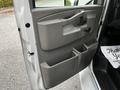 The side door of a 2019 Chevrolet Express showing a gray interior panel with a handle and multiple storage compartments