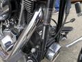 Close-up of a 2008 Harley-Davidson FLSTFI motorcycle's engine and chrome components with visible pipes and hardware