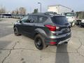 A gray 2019 Ford Escape parked with a black spare tire on the rear and different wheel rims