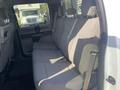A 2017 Ford F-150 with gray fabric seats in the back row of the cab featuring a bench seat design and seat belts