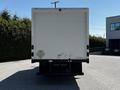 A 2020 Hino 155 box truck viewed from the rear showing a white cargo area with a rear door and tail light assemblies