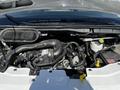 Engine compartment of a 2023 Ford Transit featuring various components like hoses wires and a battery with visible fluid reservoirs
