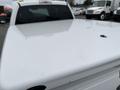 A white 2010 Ford F-150 truck with a glossy finish and a covered bed large enough to carry cargo