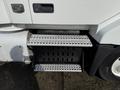 A close-up of a 2012 Volvo VNL truck's steps showing a metal tread design with a black access panel and side view of the truck's tire
