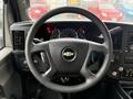 Steering wheel of a 2019 Chevrolet Express with a central Chevy logo dashboard displays gauges and controls for driving functions