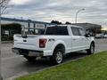 A white 2017 Ford F-150 pickup truck with a chrome rear bumper and alloy wheels parked on the side of the street