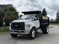 A 2017 Ford F-750 truck with a white cab and black dump bed parked on a paved surface