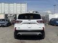 A white 2020 Ford Escape viewed from the rear showcasing its taillights and hatchback design