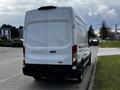 A white 2020 Ford Transit van parked with its back facing the viewer showing its cargo doors and Transit 250 badging