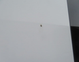 A small blemish on the white surface of a 2020 Chevrolet Express