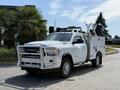 A 2020 Ram 2500 truck with a utility body and tools in the back parked on a driveway