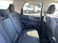 The interior of a 2023 Ford Bronco Sport featuring rear seats with black and gray upholstery and a simple door panel design
