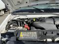 Engine compartment of a 2008 Ford Econoline showing the battery coolant reservoir and various engine components