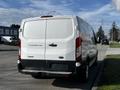 A white 2017 Ford Transit van with the model name visible on the rear doors and large rear windows