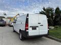 A white 2019 Mercedes-Benz Metris van parked with its rear doors closed and a plain license plate holder visible