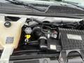 Engine compartment of a 2016 Chevrolet Express displaying various components such as hoses a reservoir and an engine cover