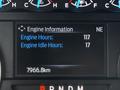 Display panel showing engine information for a 2022 Ford F600 with engine hours at 117 and engine idle hours at 17 along with a mileage reading of 7966.8 km