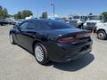 A 2019 Dodge Charger in black with a sleek design and bold rear taillights parked in a lot