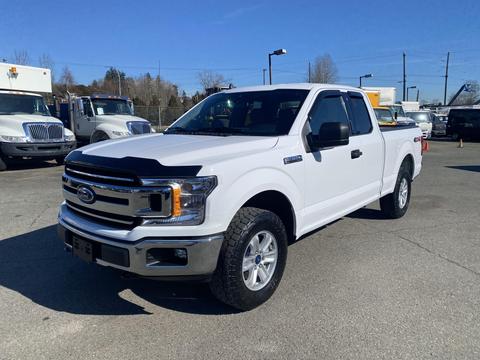 A 2019 Ford F-150 in white with a black grille and large tires positioned in a parking lot