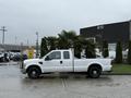 A white 2008 Ford F-250 SD pickup truck with a crew cab and black wheels is parked next to palm trees and greenery
