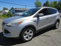 A silver 2015 Ford Escape with a streamlined design featuring a bold grille and sporty alloy wheels parked on a paved surface showcasing its compact SUV profile