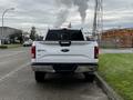 A white 2017 Ford F-150 parked with a view of the rear tailgate and badging